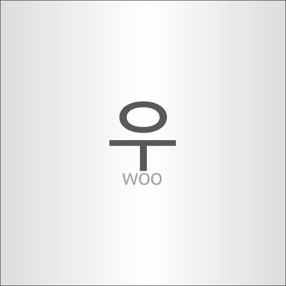 라울 (ROUL) Woo 앨범 커버